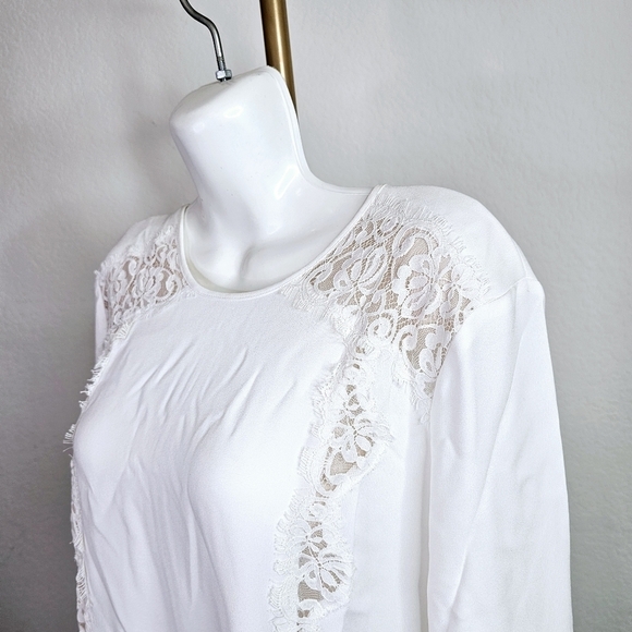 🎉Host Pick 🎉 BCBGMAXAZRIA Jayn Lace-Trim Dress - Picture 4 of 7